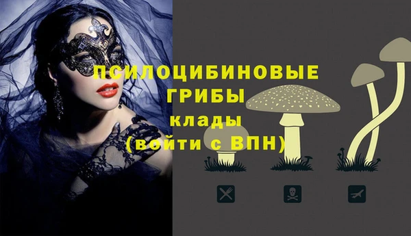 ГАЛЛЮЦИНОГЕННЫЕ ГРИБЫ Абаза
