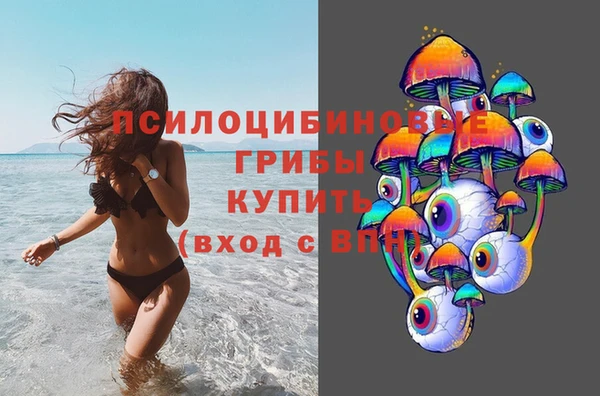 эйфоретик Алексеевка