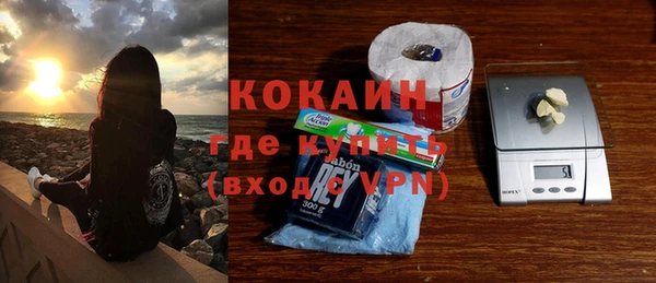 крисы Алексин