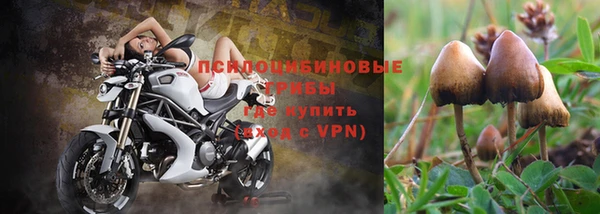 наркотики Абинск