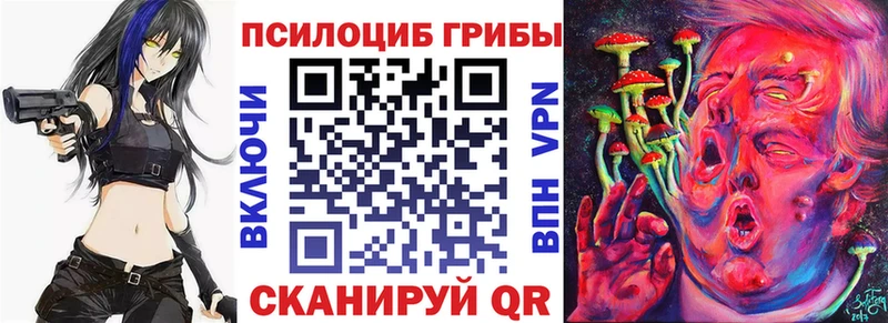 кракен онион  Тында  Галлюциногенные грибы Psilocybine cubensis 