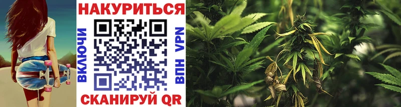 Конопля гибрид  Тында 
